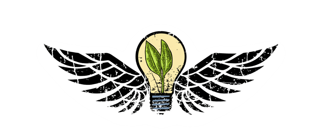 The Forge of Creation